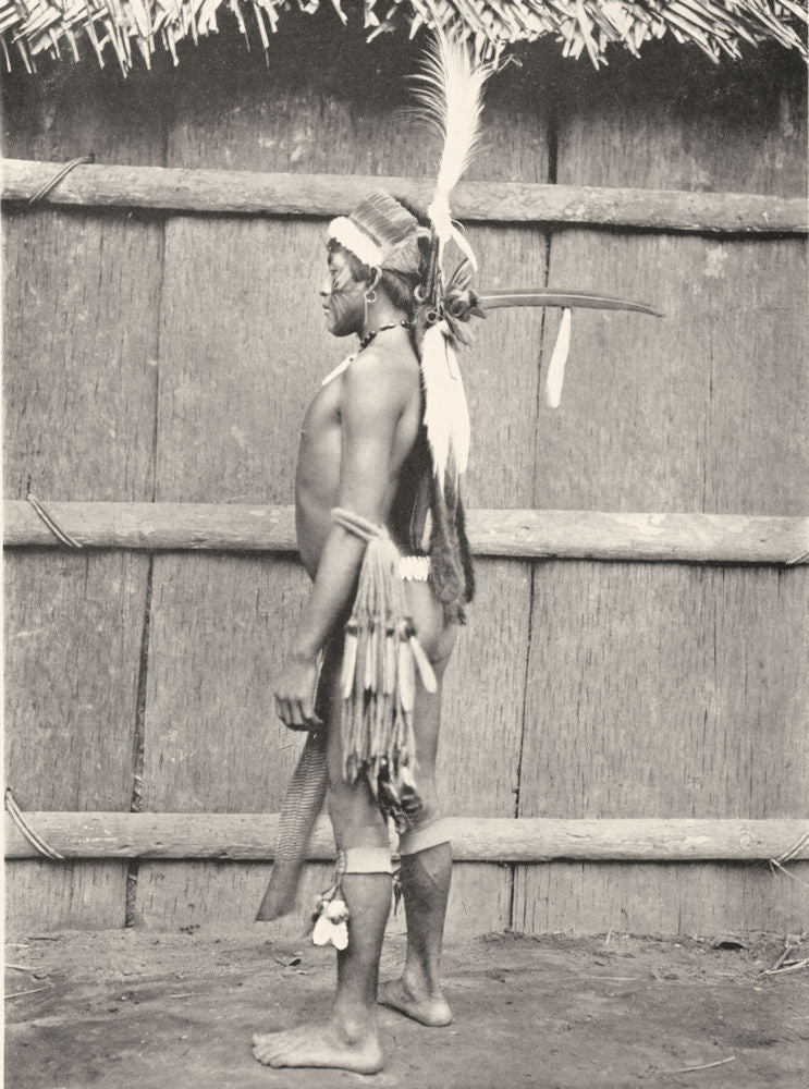 BRAZIL. A Tuyuka Indian in Gala Array; Uaupe River. North-west Brazil 1900